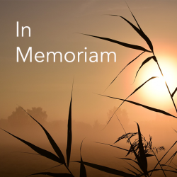 Image of sunset with bamboo silhouette in foreground and text that reads "In Memoriam"