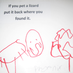Child's drawing