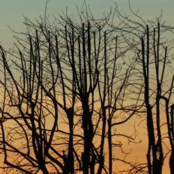 Songs Winter Solstace