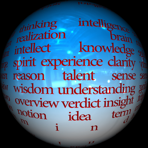 Sphere with words inside such as: thinking, experience, talent...